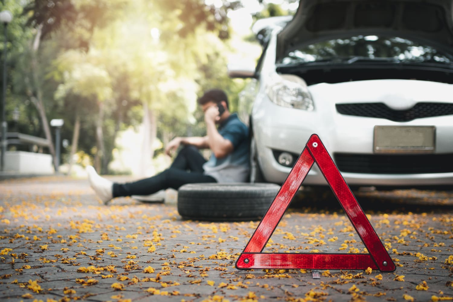 Emergency Situations: How to Handle Roadside Breakdowns in BC